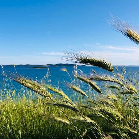Ecobeachvilla Buqez 9 Pakoštane Dış mekan fotoğraf