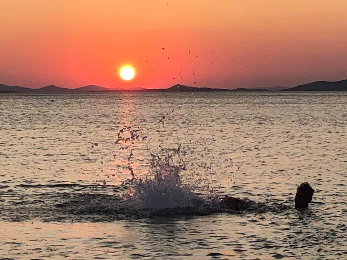 Ecobeachvilla Buqez 9 Pakoštane Dış mekan fotoğraf