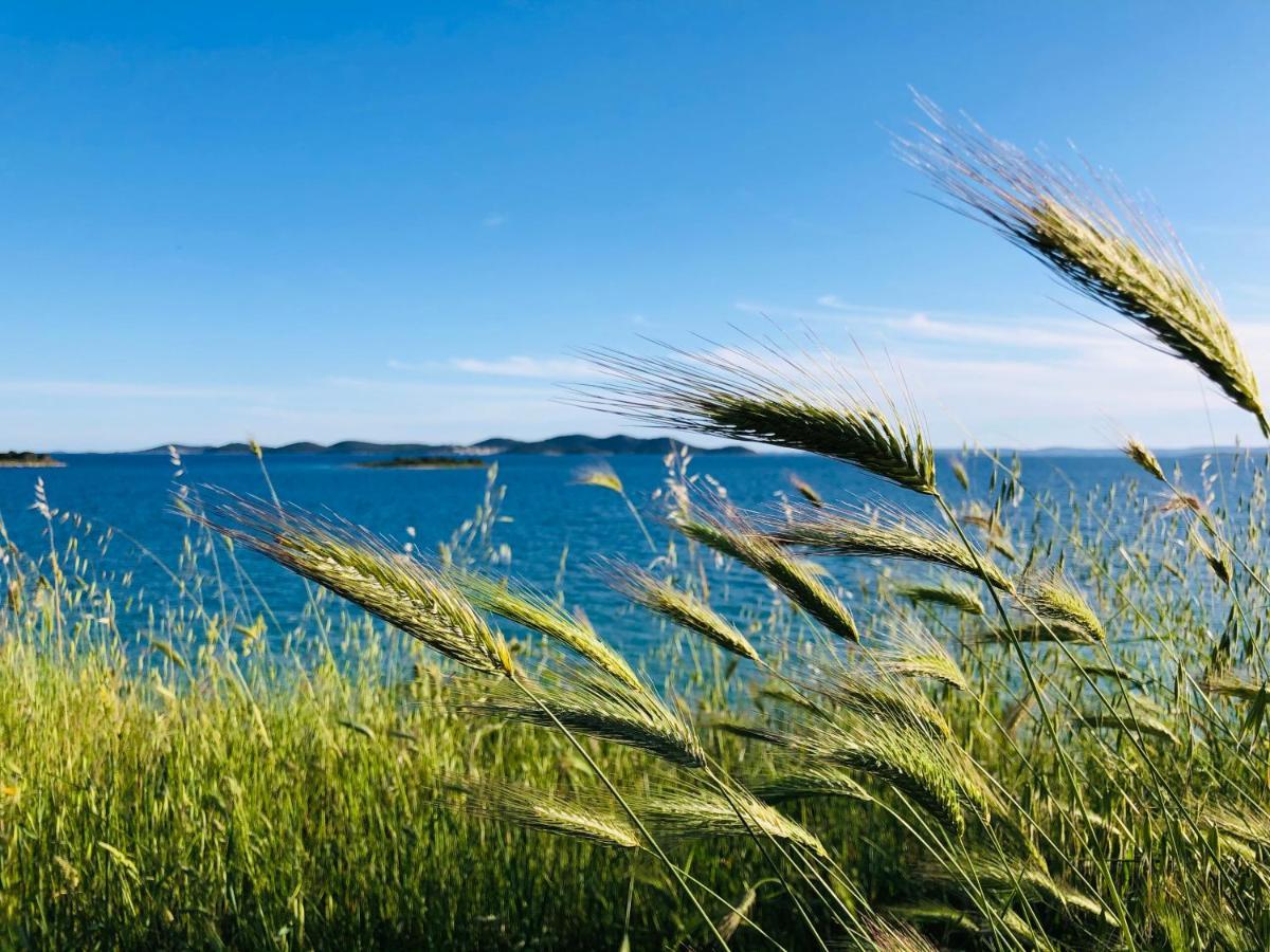 Ecobeachvilla Buqez 9 Pakoštane Dış mekan fotoğraf